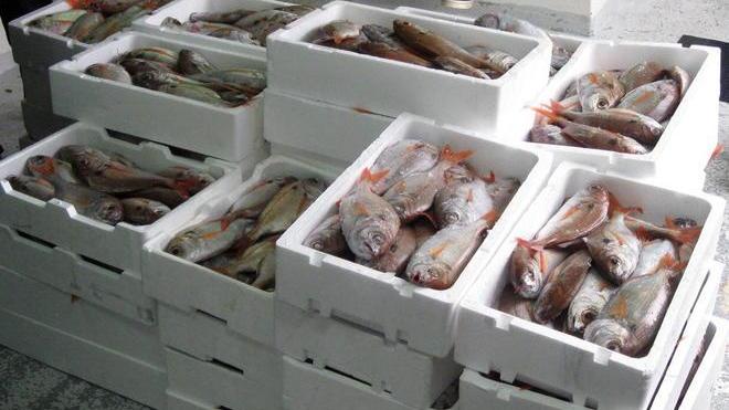 La Capitaneria sequestra 270 kg di pesce a un peschereccio spagnolo