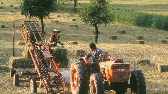 Batosta Inps, cartelle per milioni di euro