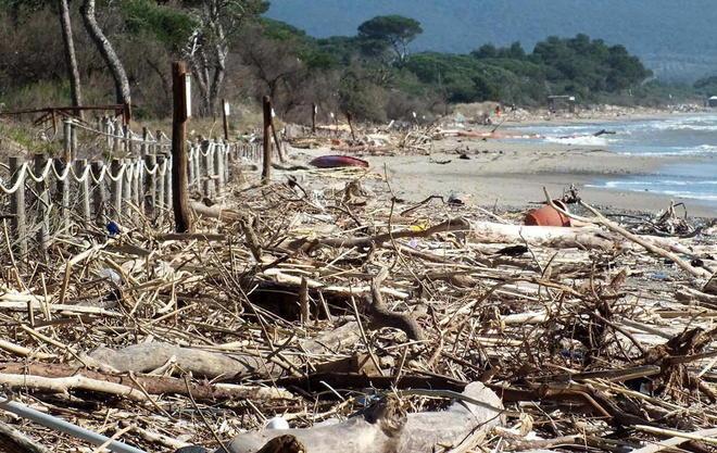 Maxi pulizia per eliminare legname e rifiuti 