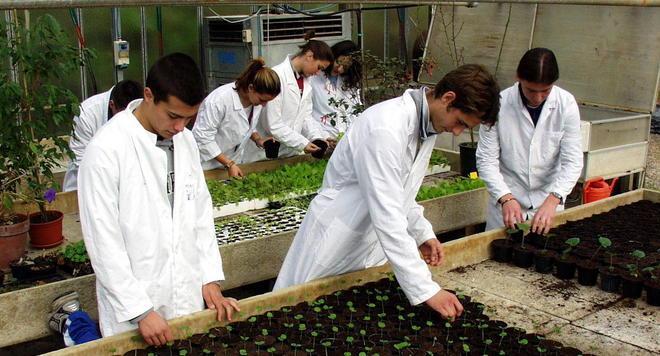 Agrario, boom di iscritti le prime diventano tre 