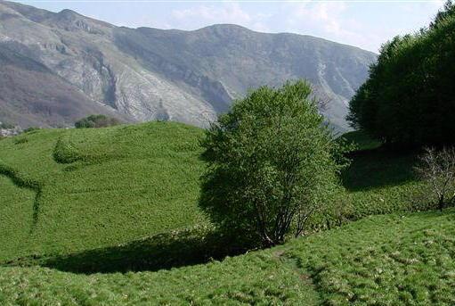 Seravezza boccia il piano contro le cave nel Parco 