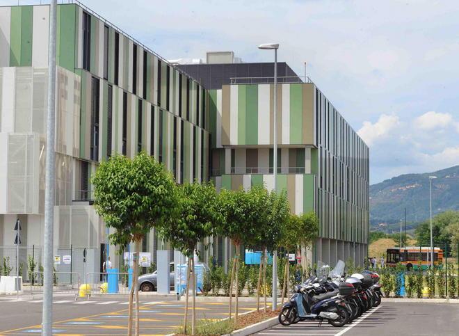 Assunzioni basate solo sui curriculum 