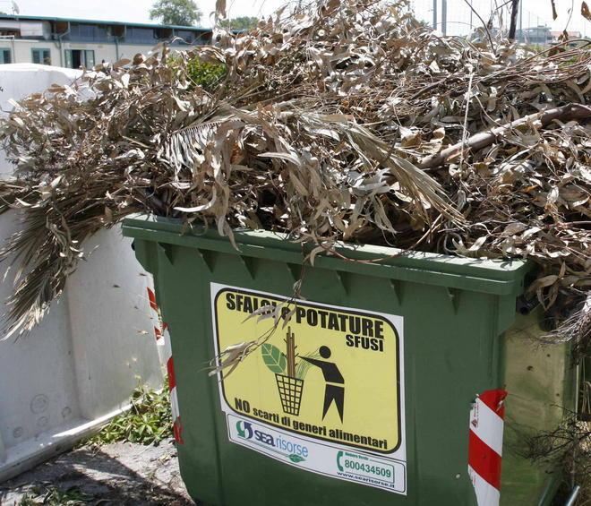 Raccolta differenziata pure per il verde