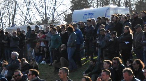Corse in Buca con l’amaro feriti un cavallo e due fantini