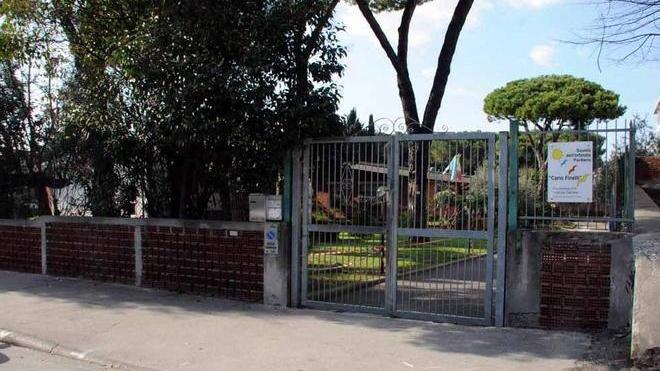 «Papa Francesco aiutaci a salvare il nostro asilo»
