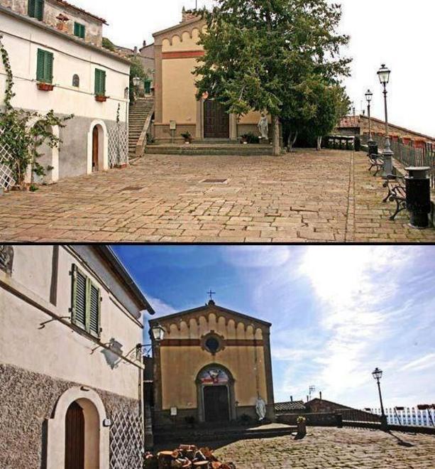 Montemassi, pianta abbattuta «Era diventata pericolosa»