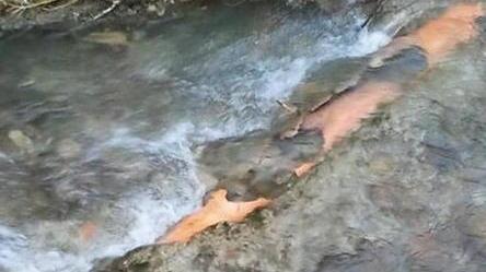Si rompe un tubo e i liquami finiscono nel rio Sanetta