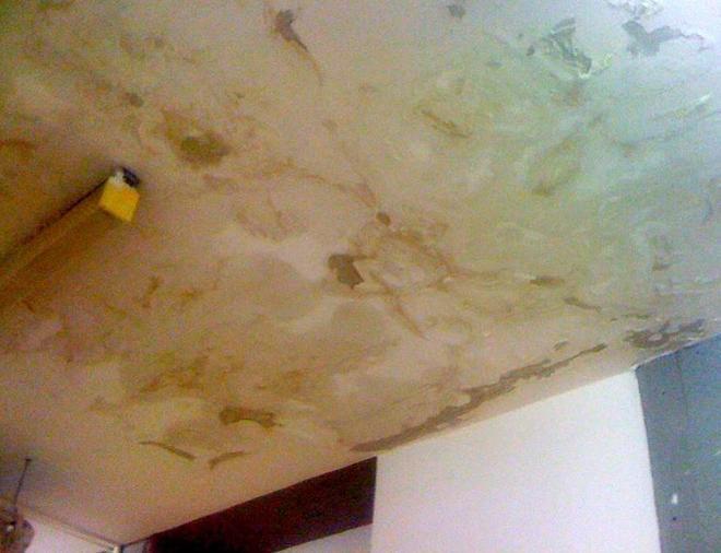 «La nostra scuola sta cadendo a pezzi» 