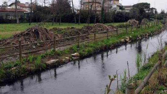 Foce a mare del Fescione Massa chiede la modifica