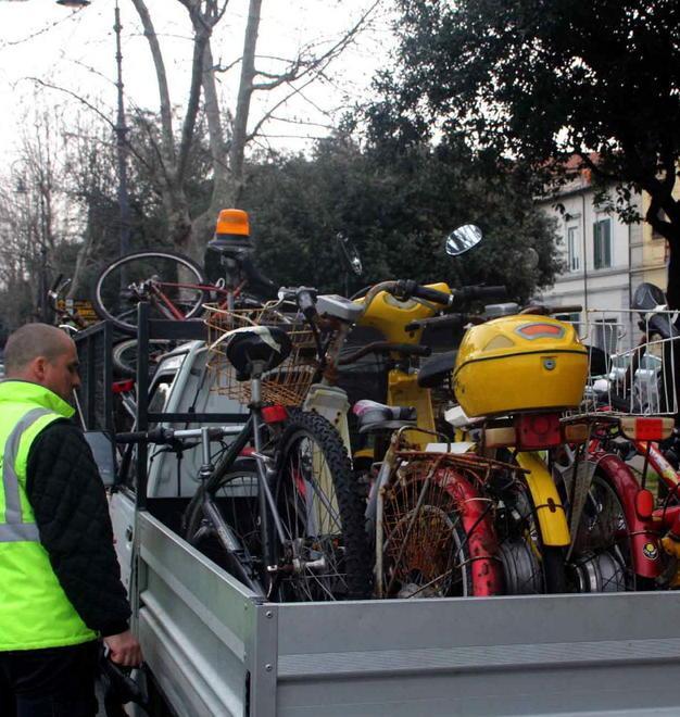 Oltre 60 bici tolte dal viale Carducci