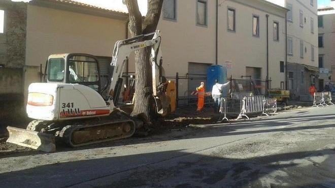 250 infortuni in un anno per i crateri sull’asfalto