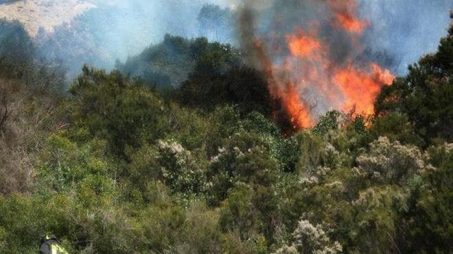 Primo incendio della stagione a Vallebuia