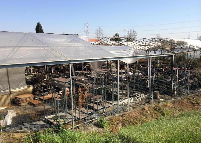 Azienda florovivaistica semidistrutta da un incendio