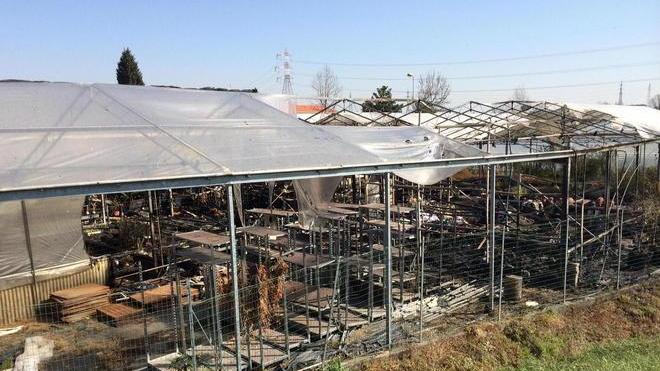 Azienda florovivaistica semidistrutta da un incendio