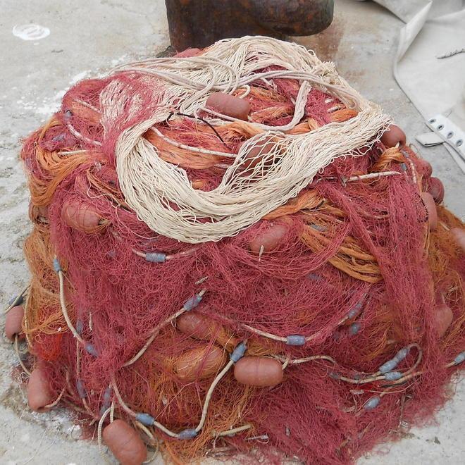 Sequestrati 8 chili di novellame a un pensionato
