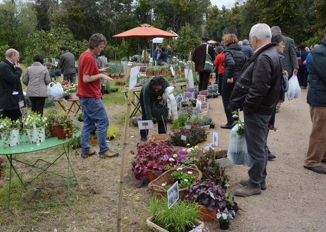 Terra e verde, da Milis parte la sfida economica 