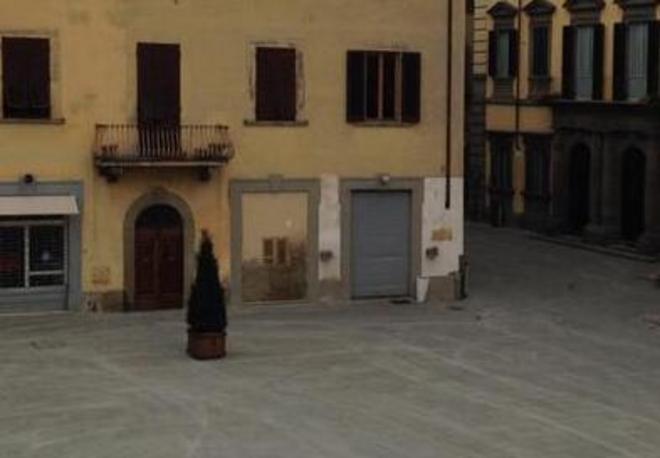 Prato, l’appello di Sandro Veronesi: “Chi ha perduto tre pianticelle in piazza monumentale?” 