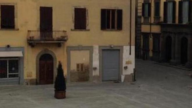 Prato, l’appello di Sandro Veronesi: “Chi ha perduto tre pianticelle in piazza monumentale?”