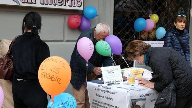 Per gli “invisibili” le gabbie restano chiuse
