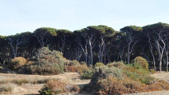 «Ora i Comuni vogliono sopprimere la Parchi»