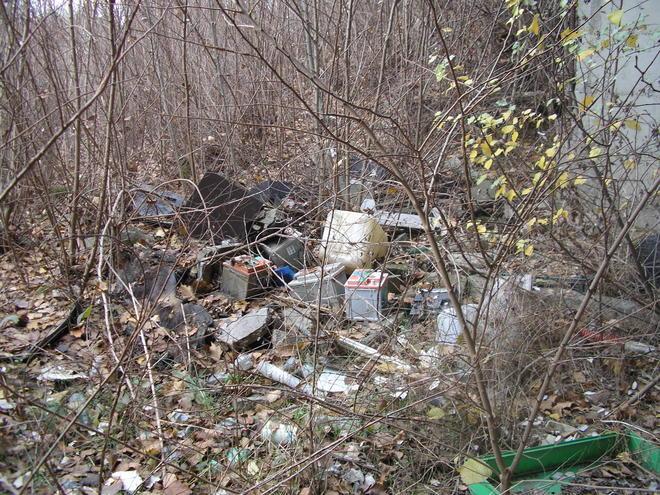 Sequestrata discarica nella tenuta di San Rossore 