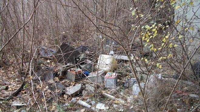 Sequestrata discarica nella tenuta di San Rossore