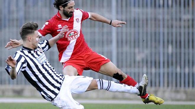 Marotta in campo contro il Pisa «Pagherà la multa»