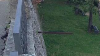 Cinghialino giù dal muro alto 10 metri