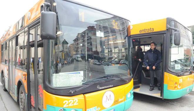 Copit ringiovanisce la flotta di bus in arrivo dieci mezzi 