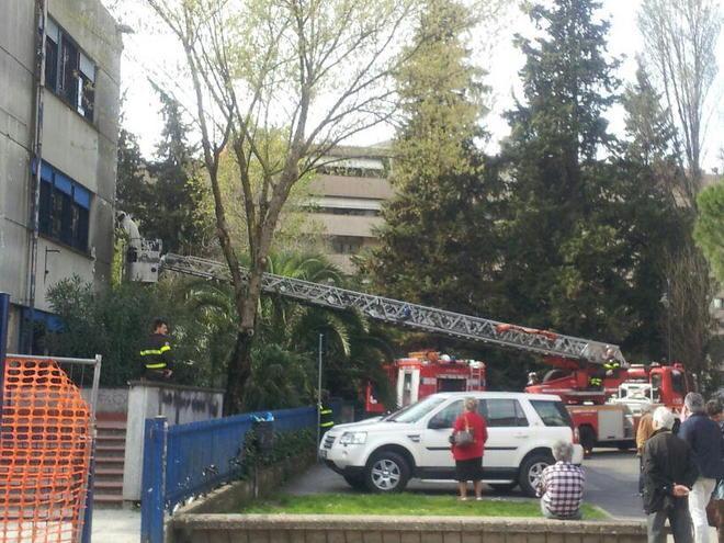 Nido di vespe sulla parete di una scuola, arrivano i Vigili del fuoco 