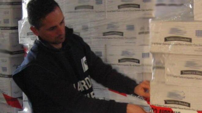 Cibo per gatti irregolare, 5 tonnellate di pesce sequestrate