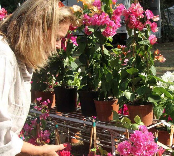 Torna “Verdescambio” e il gusto del baratto di chi ama il giardinaggio 