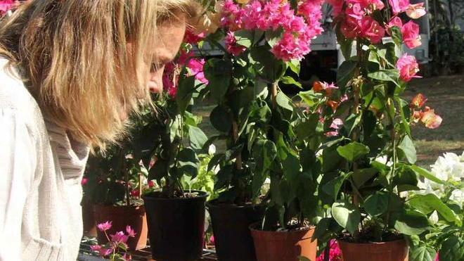 Torna “Verdescambio” e il gusto del baratto di chi ama il giardinaggio