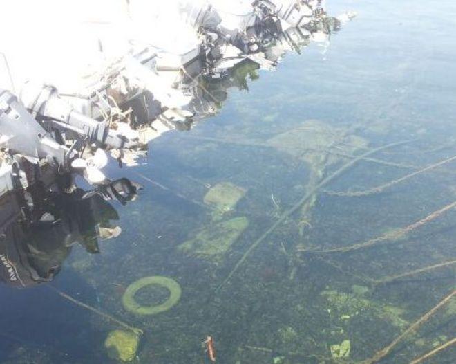 Moletto di Antignano “tirato a lucido” 