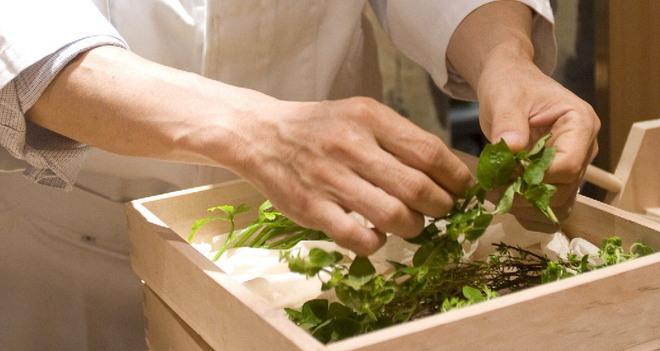 Le erbe e la tradizione: la cucina salutare 