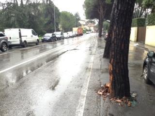 Travolge un pedone e sbatte contro un albero: in due sono gravi 