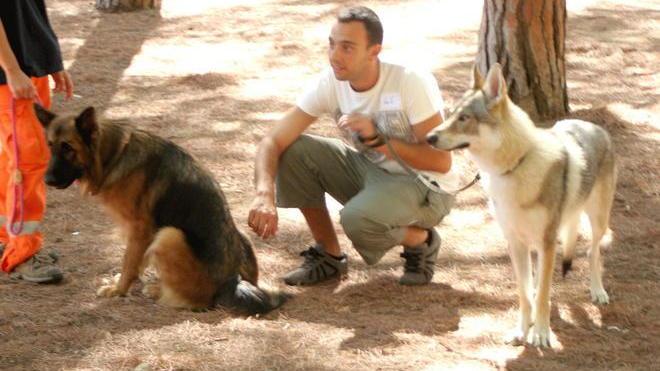 Cani in bella mostra nelle due giornate del trofeo Aldo Tafi