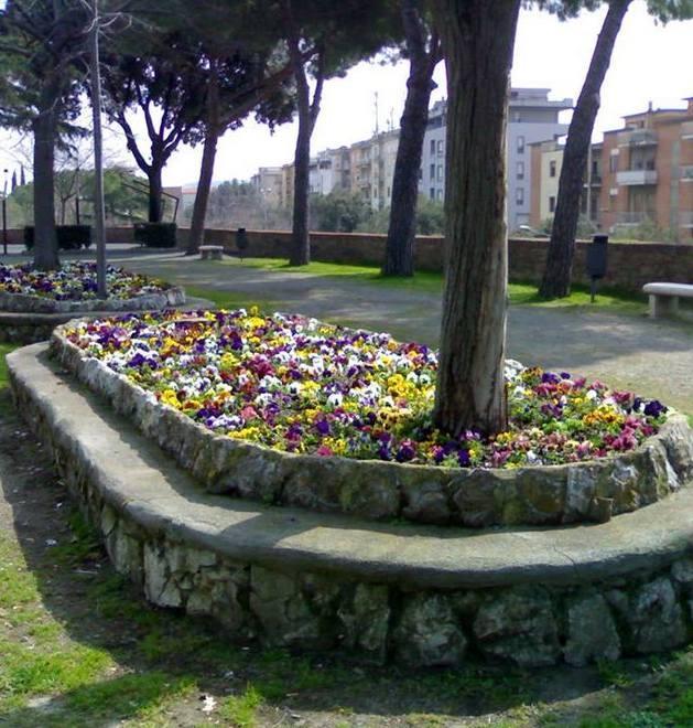 Ecco i fiori nelle aiuole al Cinghialino