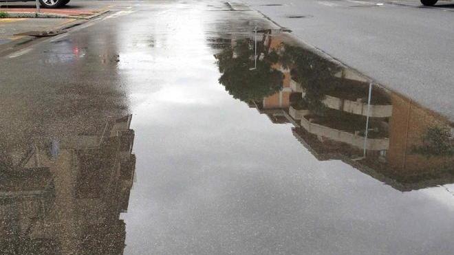 LA SEGNALAZIONE / «Fermate quello spreco di acqua»