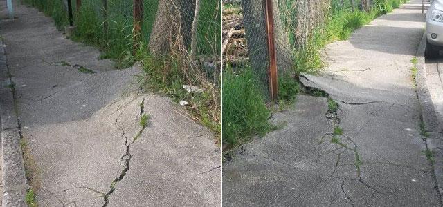 LA SEGNALAZIONE / «Quelle radici sul marciapiede sono pericolose» 