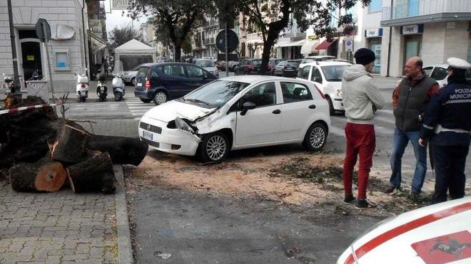 Albero su un’auto in centro Vento a 30 chilometri l’ora