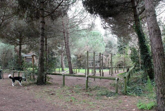 Parcheggia lungo la pineta, uno spacciatore lo infastidisce