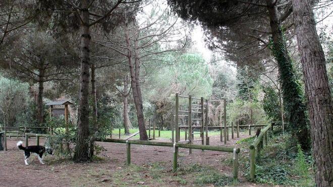 Parcheggia lungo la pineta, uno spacciatore lo infastidisce