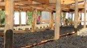 La Regione spinge il vino elbano, altri 5 ettari di vigneti