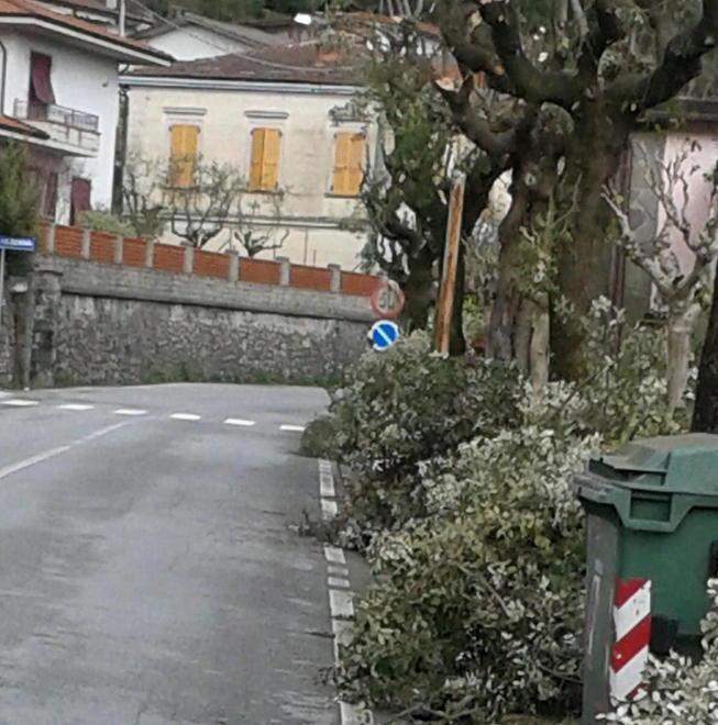 Santini: pericolosi i marciapiedi chiusi per sfalcio