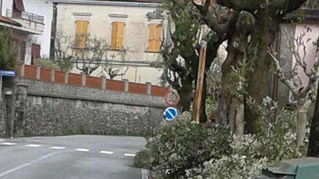 Santini: pericolosi i marciapiedi chiusi per sfalcio