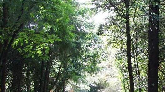 Domani incontro, domenica escursione