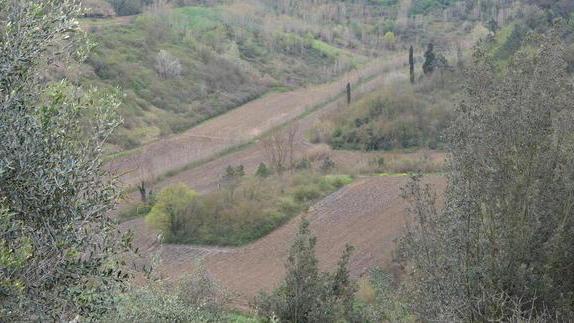 Fanghi usati in agricoltura ora nasce un comitato