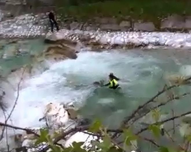 Capriolo rischia di annegare nel fiume, salvato dai volontari 