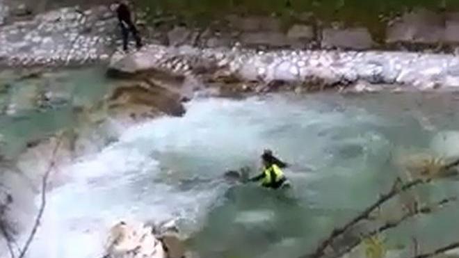 Capriolo rischia di annegare nel fiume, salvato dai volontari